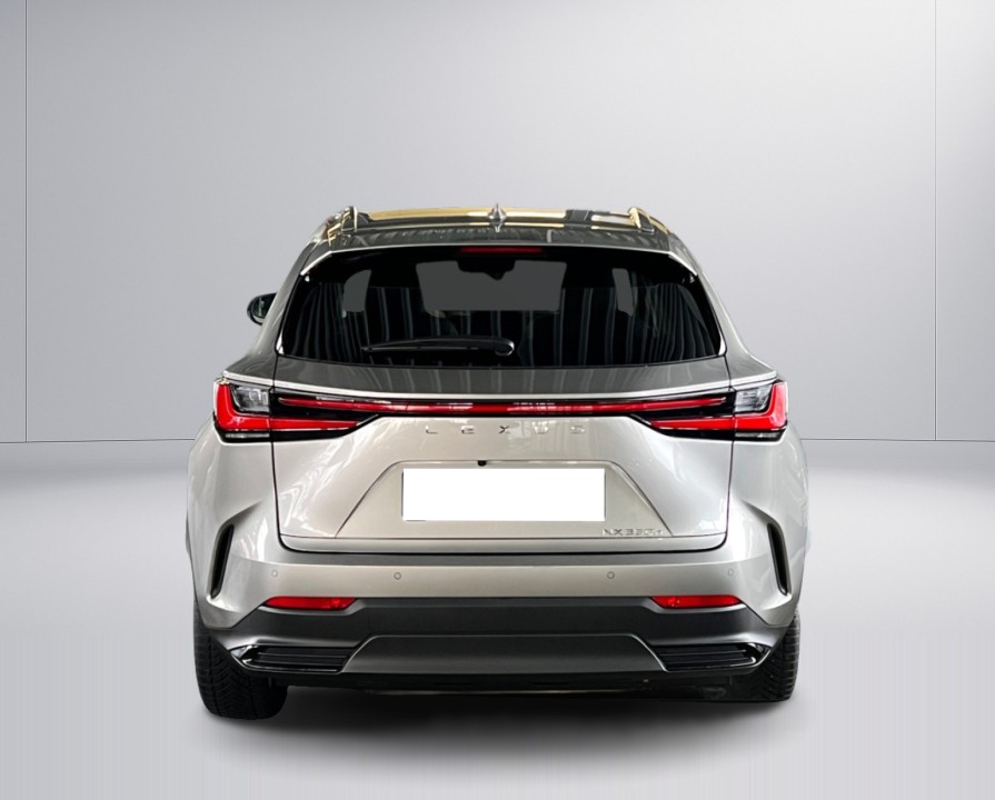 Lexus Seria NX 350h Executive (4)