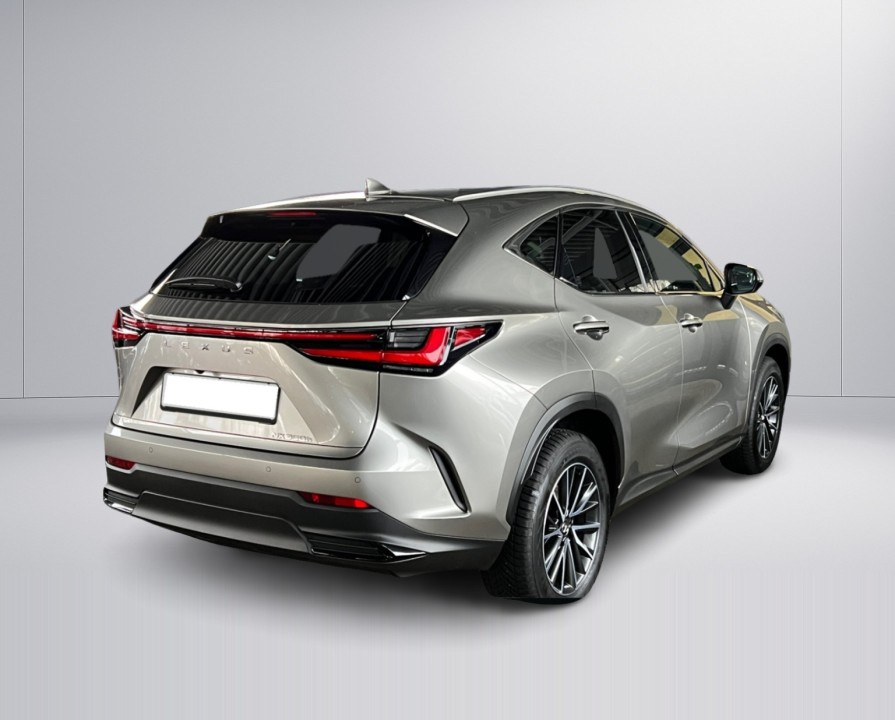 Lexus Seria NX 350h Executive (3)