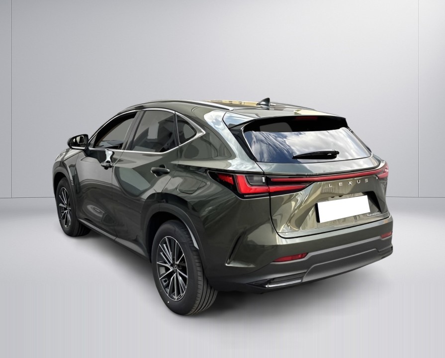 Lexus Seria NX 450h+ Executive (2)