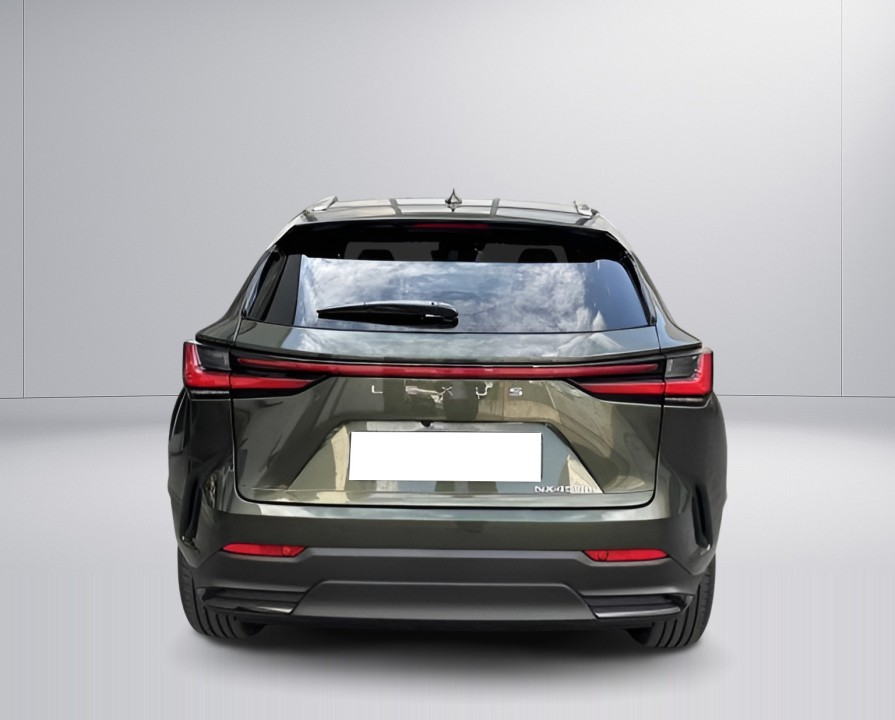 Lexus Seria NX 450h+ Executive (3)