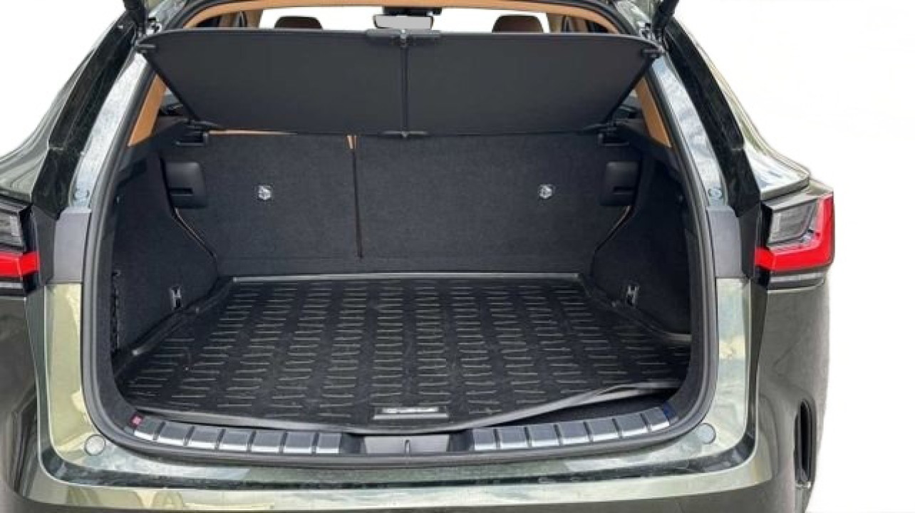 Lexus Seria NX 450h+ Executive - foto 14