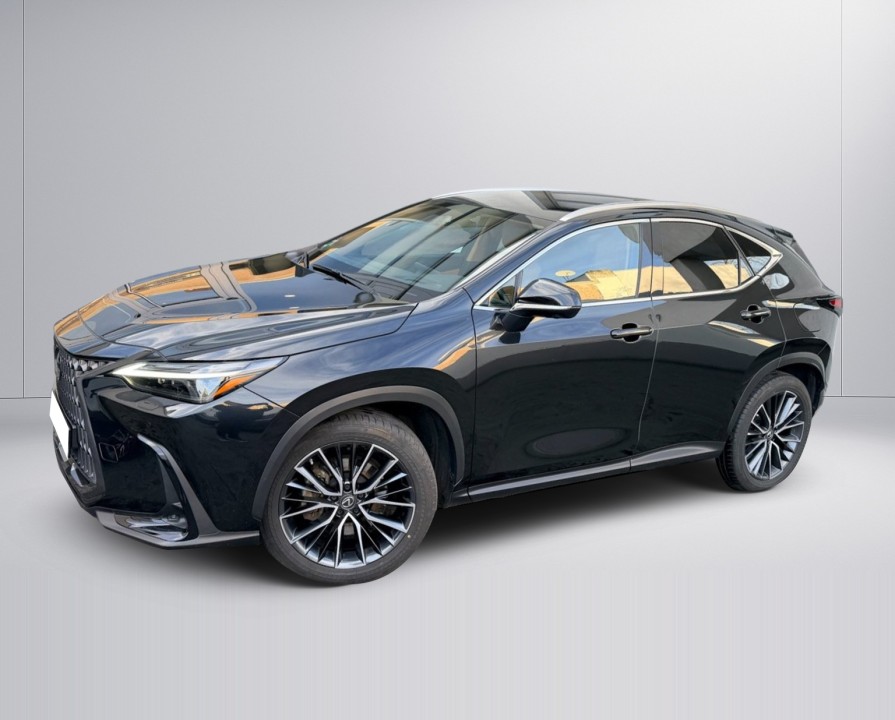 Lexus Seria NX Lexus NX 450h+ (2)