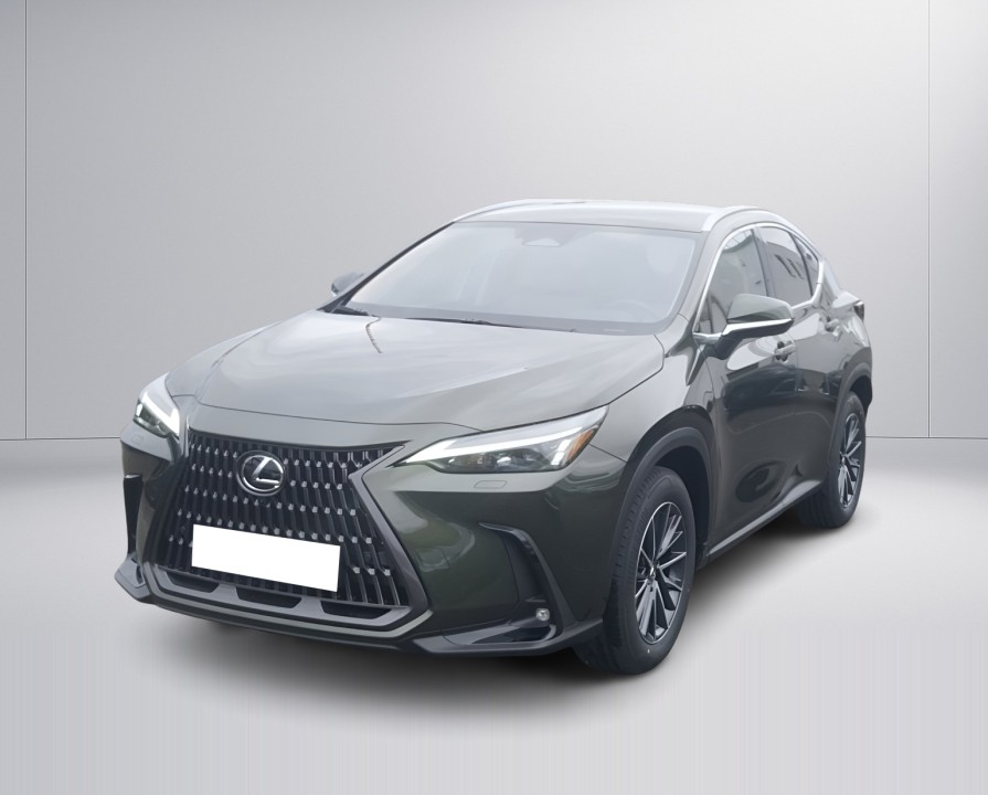 Lexus Seria NX 450h+ Executive (5)