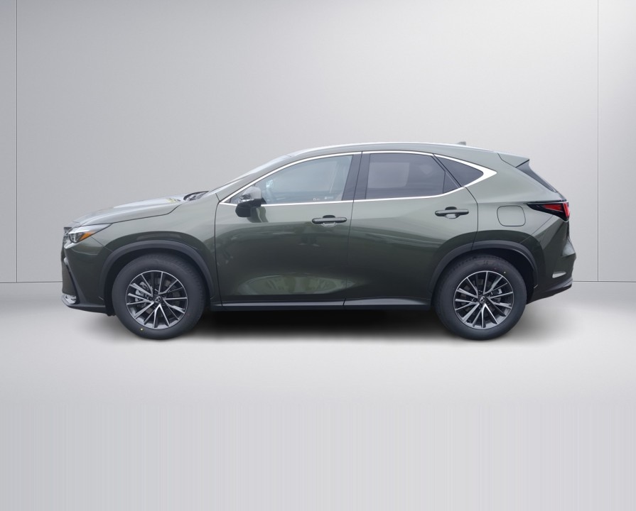 Lexus Seria NX 450h+ Executive (4)