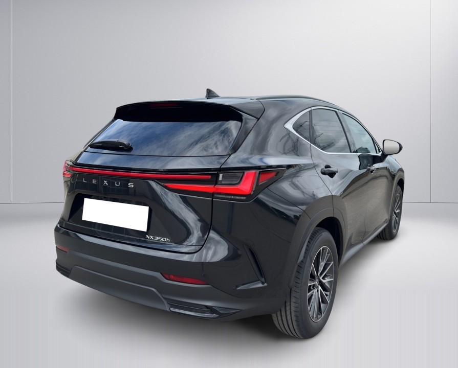 Lexus Seria NX 350h Business (3)