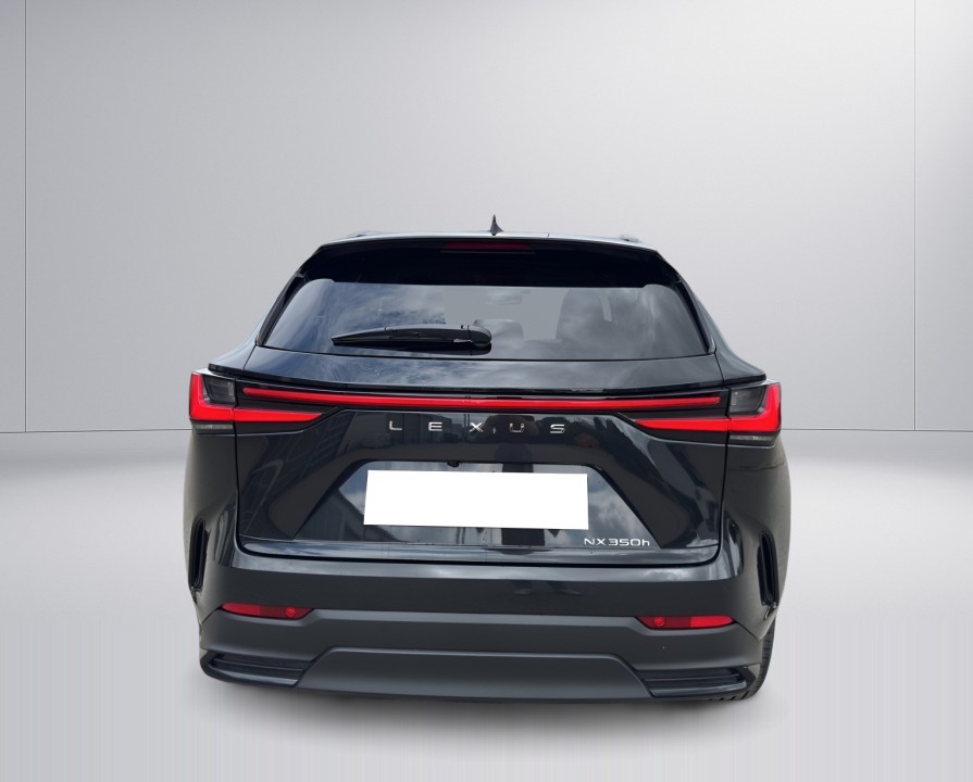 Lexus Seria NX 350h Business (4)