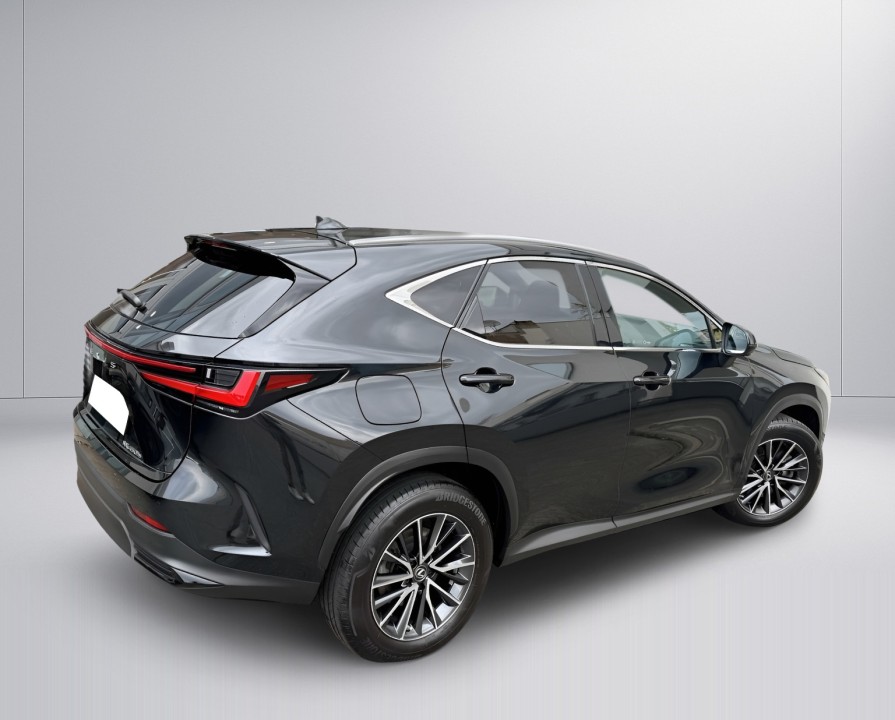 Lexus Seria NX 450h+ (2)