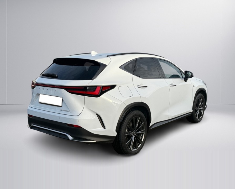 Lexus Seria NX 450h+ F-Sport (5)