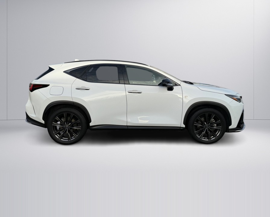 Lexus Seria NX 450h+ F-Sport (2)