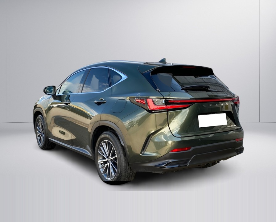 Lexus Seria NX 450h+ (5)