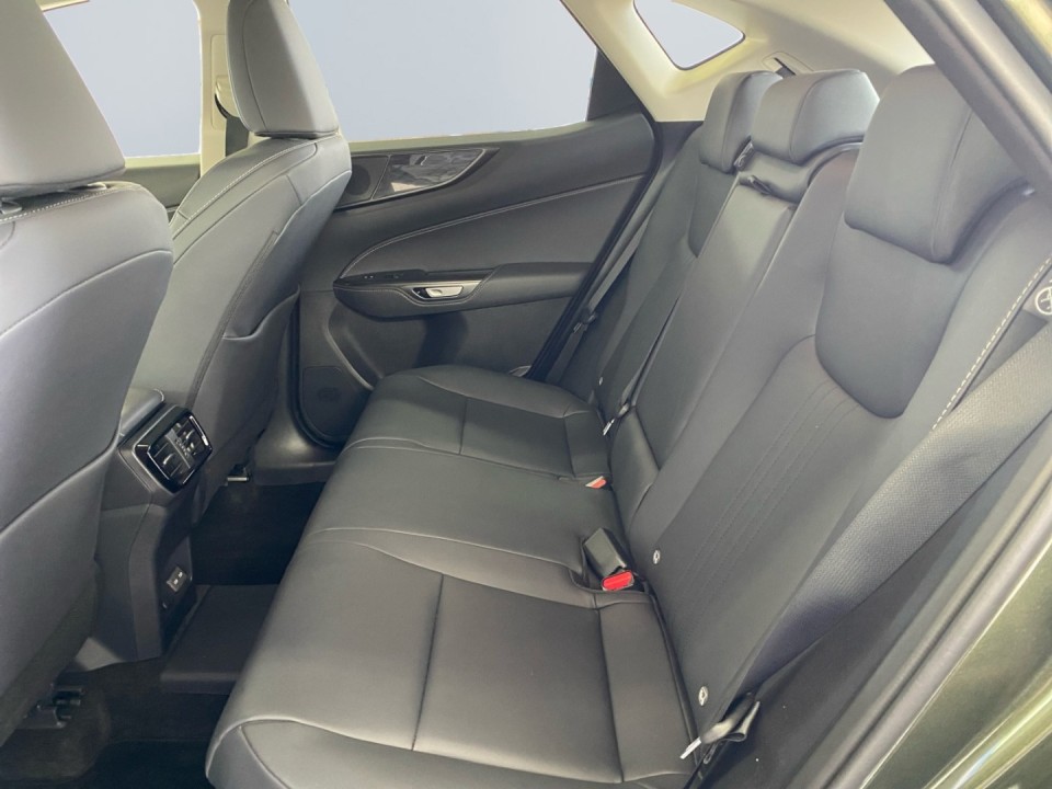 Lexus Seria NX 450h+ - foto 21