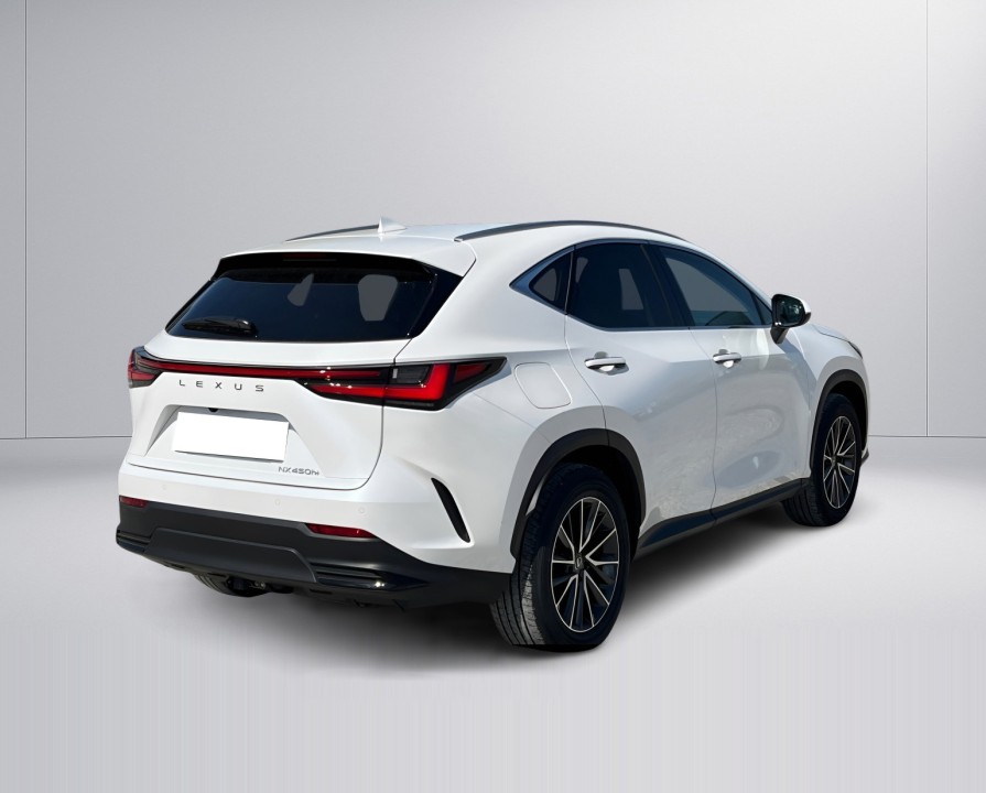 Lexus Seria NX 450h+ (3)