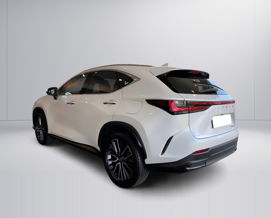 Lexus Seria NX 450h+ Luxury (4)