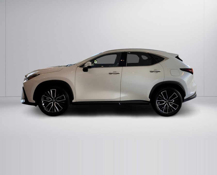 Lexus Seria NX 450h+ Luxury (3)