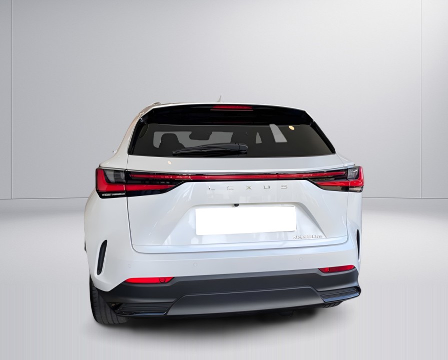 Lexus Seria NX 450h+ Luxury (5)