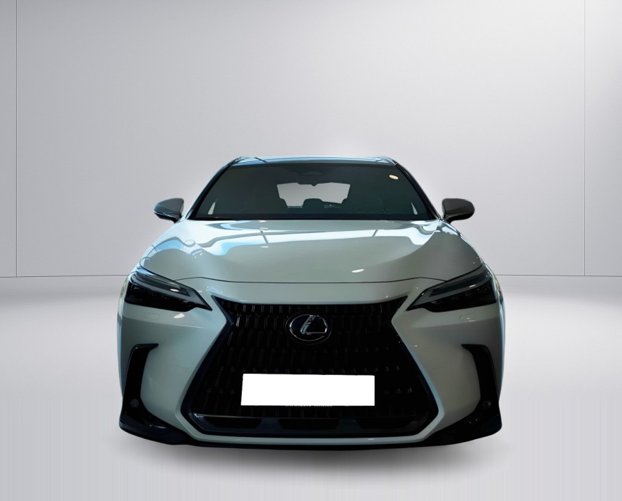 Lexus Seria NX 450h+ Luxury (2)