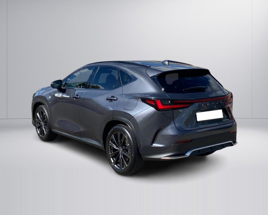 Lexus Seria NX 350h F-Sport (5)