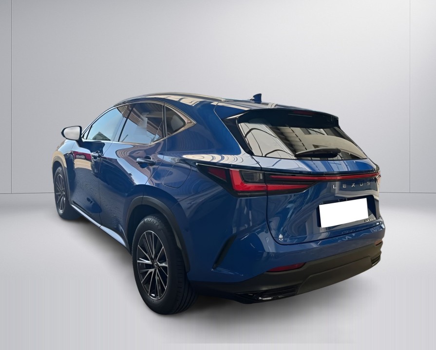 Lexus Seria NX 350h Executive (3)