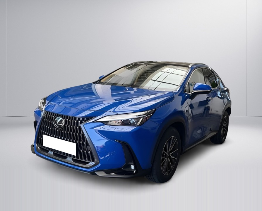 Lexus Seria NX 350h Executive (5)