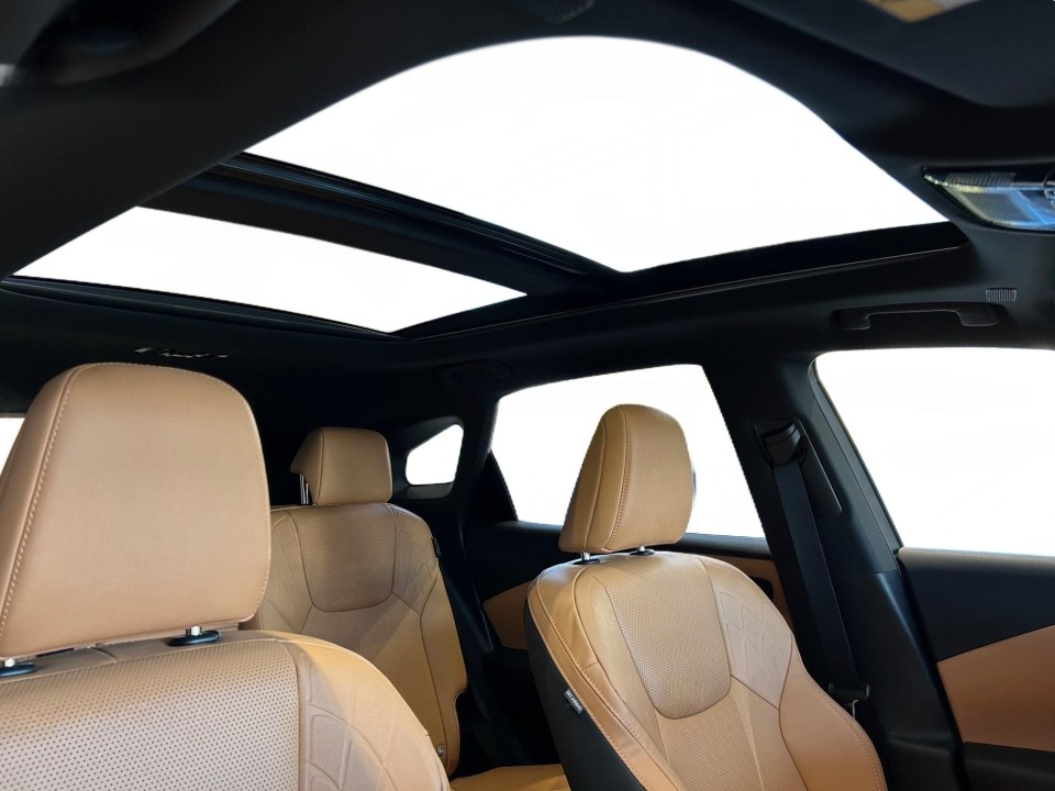 Lexus Seria RX 450h+ F-Sport - foto 10