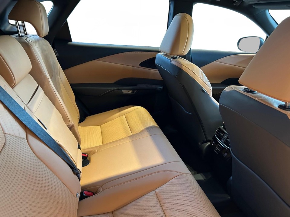 Lexus Seria RX 450h+ F-Sport - foto 8