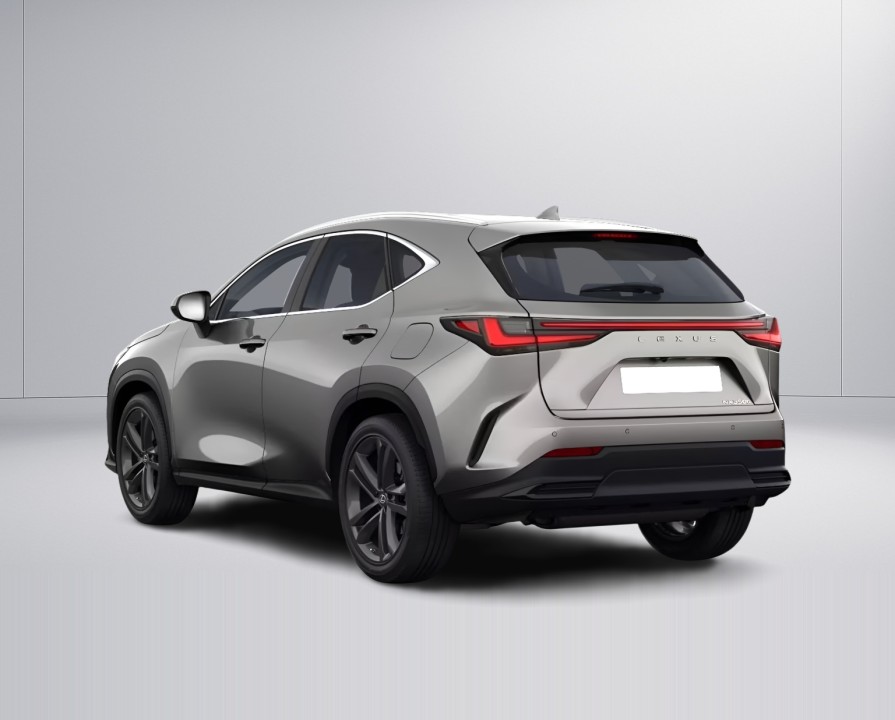 Lexus Seria NX 350h AWD (3)