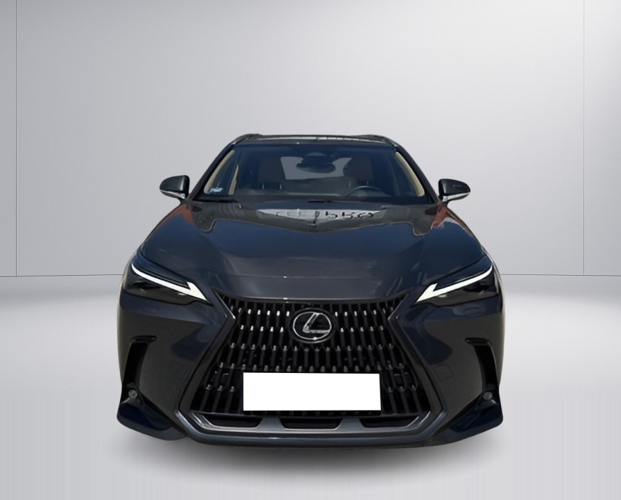 Lexus Seria NX 350h AWD Executive Line (2)