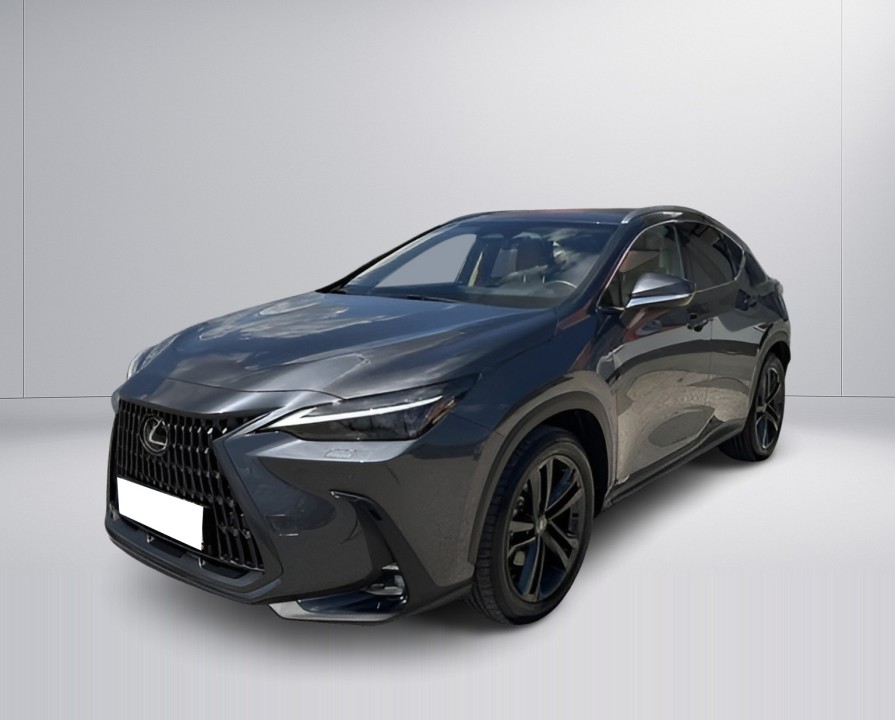Lexus Seria NX 350h AWD Executive Line (3)
