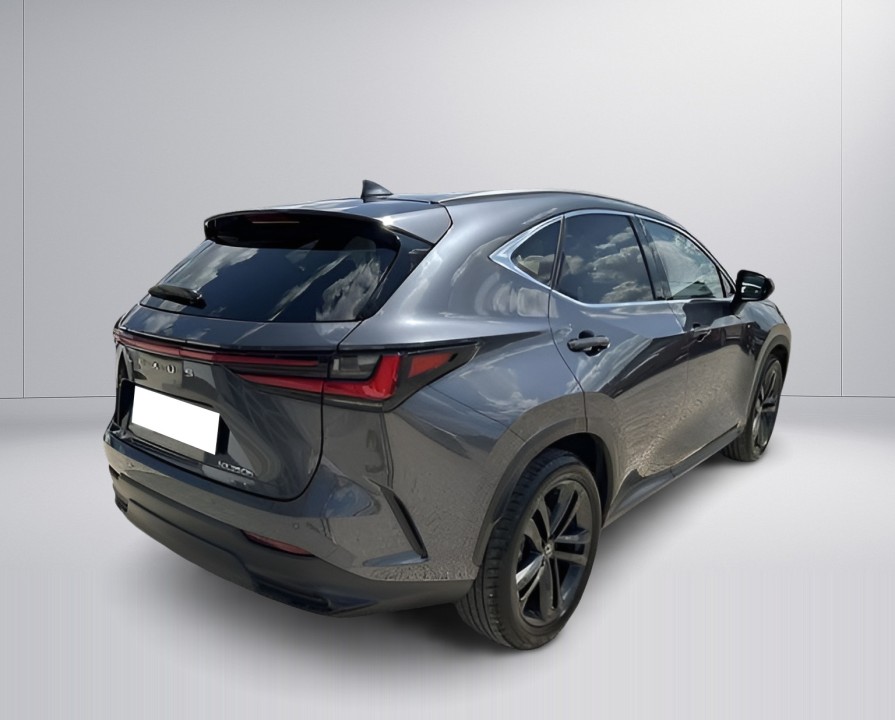 Lexus Seria NX 350h AWD Executive Line (4)