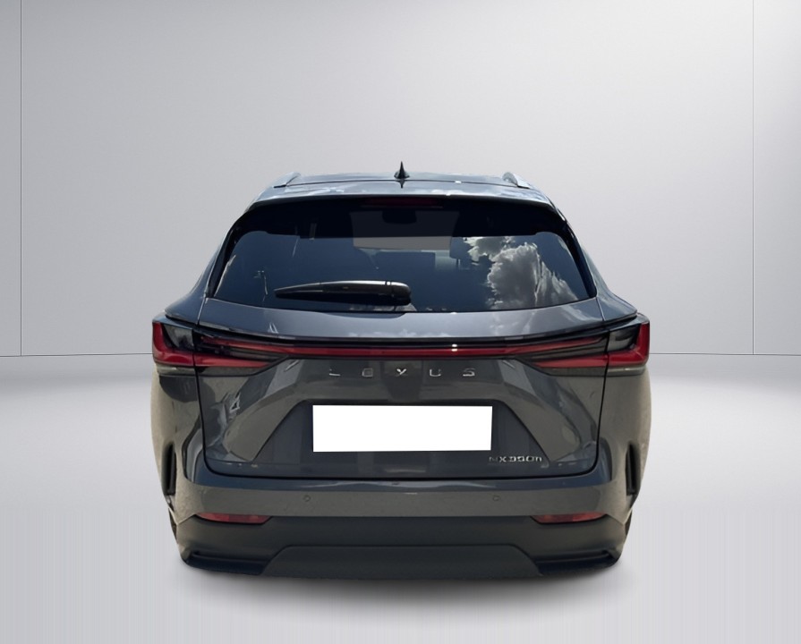 Lexus Seria NX 350h AWD Executive Line (5)