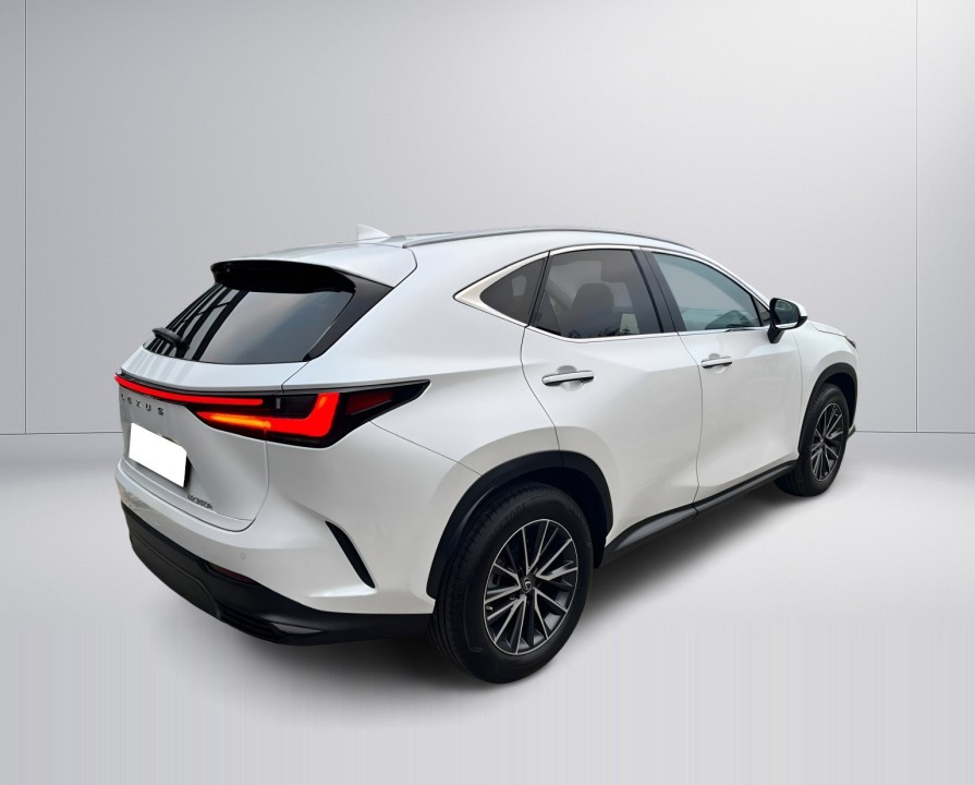 Lexus Seria NX 350h AWD F-Sport (4)