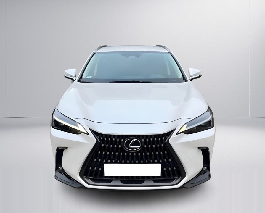 Lexus Seria NX 350h AWD F-Sport (2)