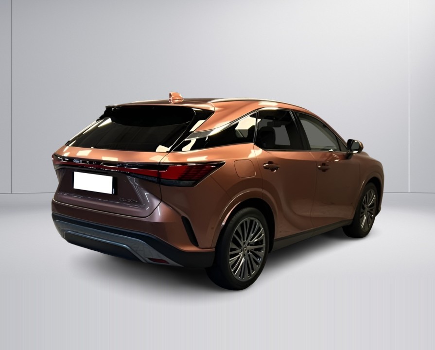 Lexus Seria RX 450h+ Luxury Line (3)