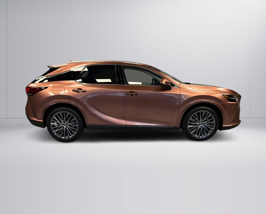 Lexus Seria RX 450h+ Luxury Line (2)