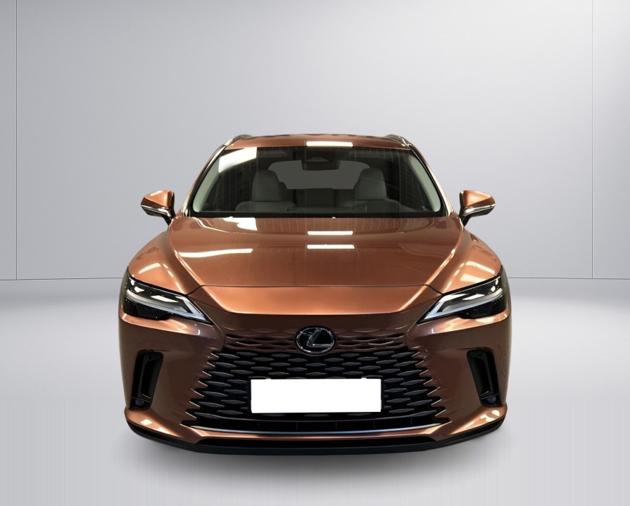 Lexus Seria RX 450h+ Luxury Line - foto 8