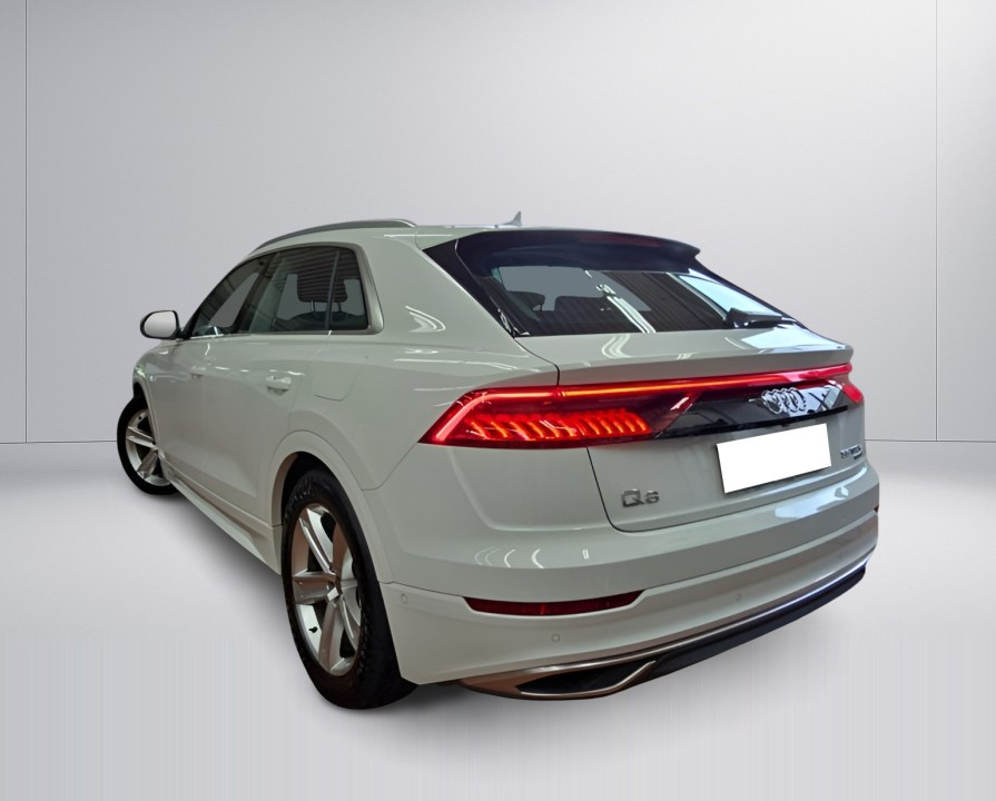 Audi Q8 55 TFSIe quattro (5)