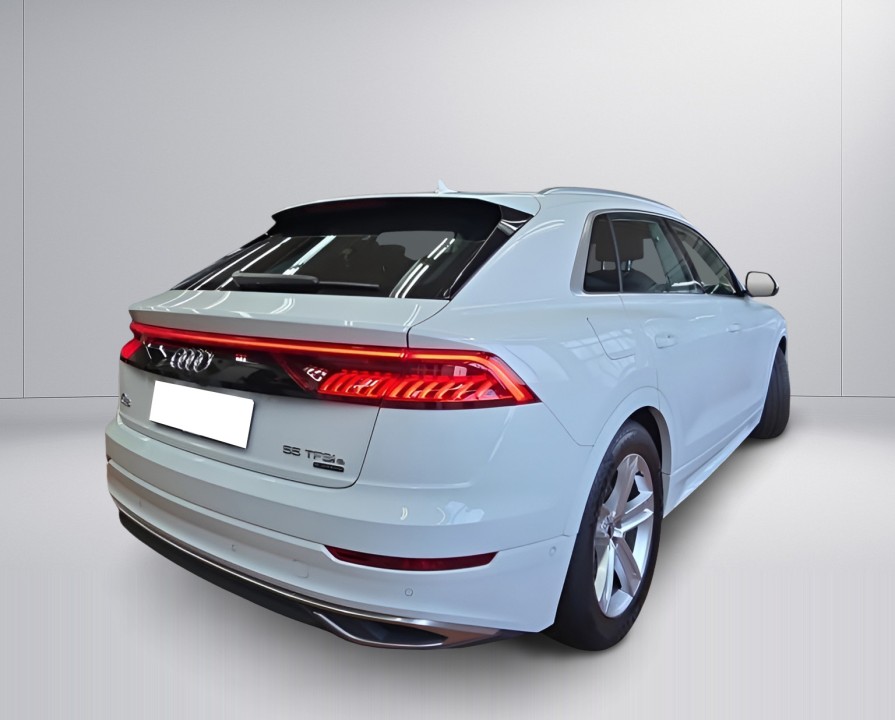 Audi Q8 55 TFSIe quattro (3)