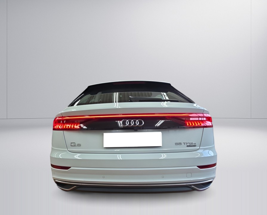 Audi Q8 55 TFSIe quattro (4)