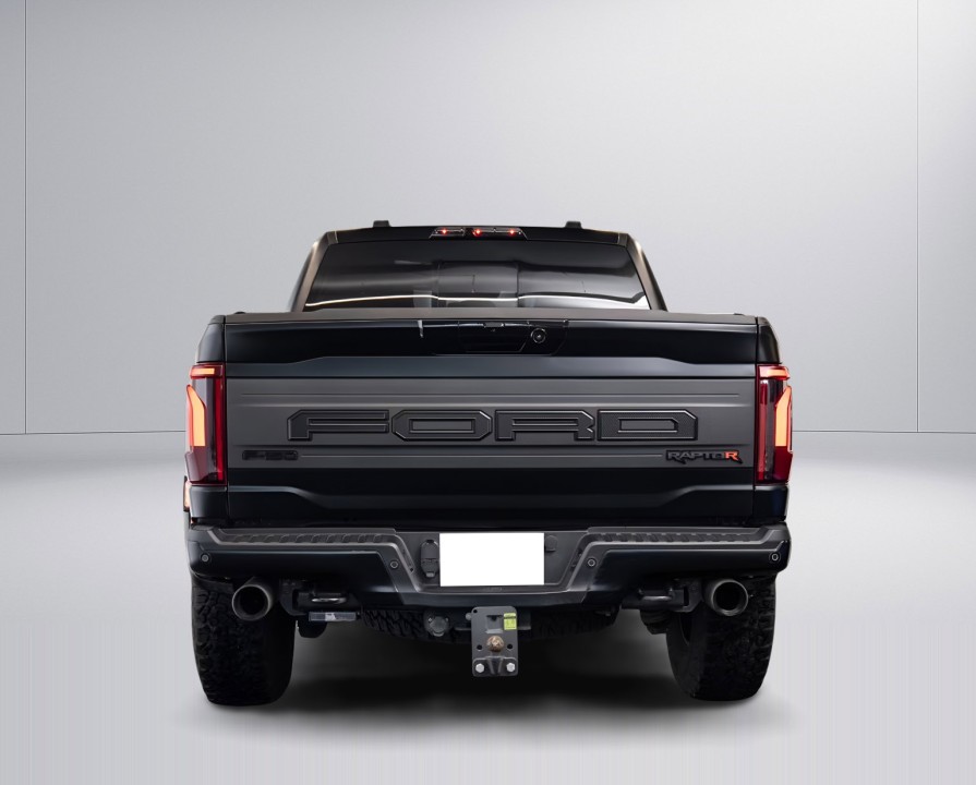 Ford F150 Raptor (4)