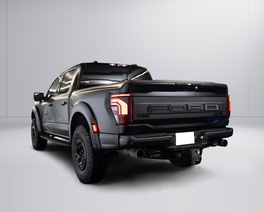 Ford F150 Raptor (3)