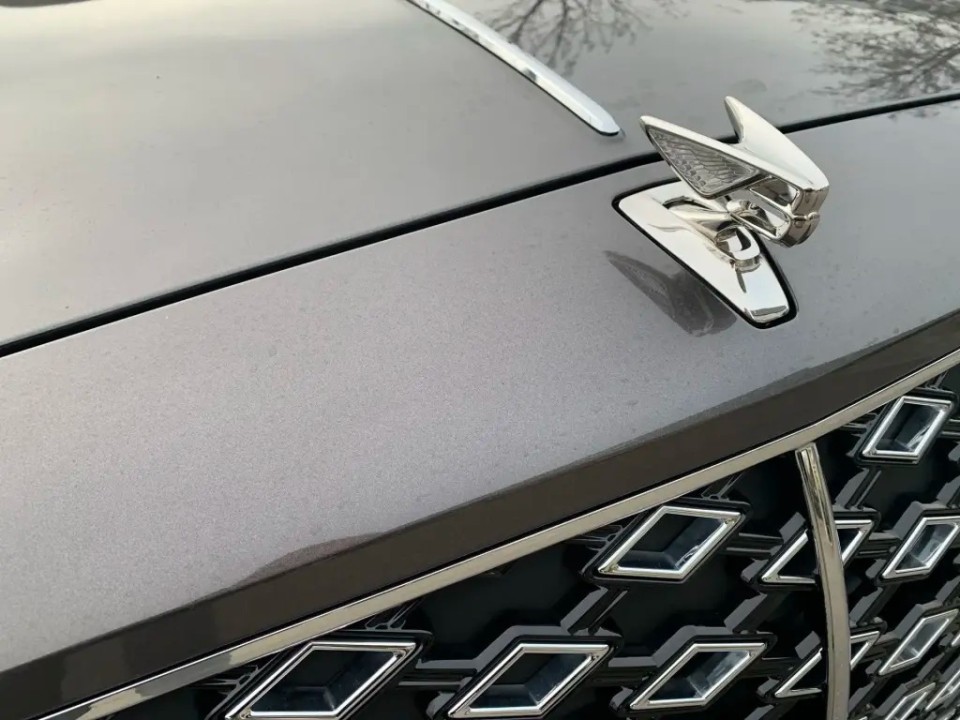 Bentley Flying Spur Mulliner V8 Hybrid - foto 30