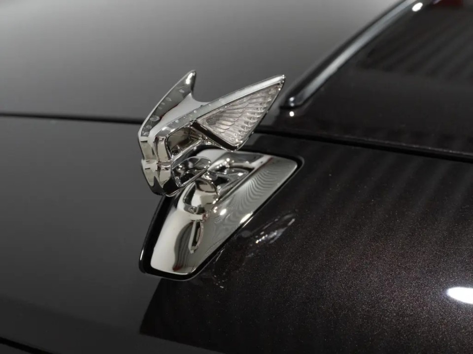 Bentley Flying Spur Mulliner V8 Hybrid - foto 23