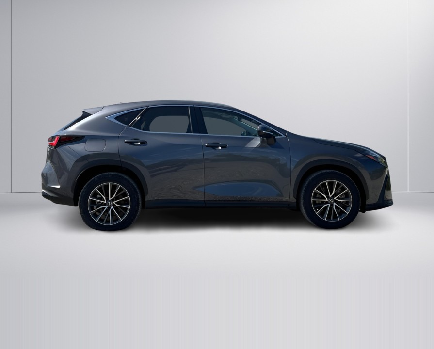 Lexus Seria NX 450h+ AWD Executive Line (2)