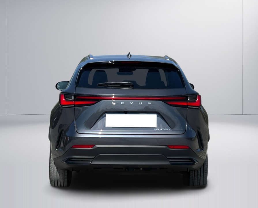 Lexus Seria NX 450h+ AWD Executive Line (4)