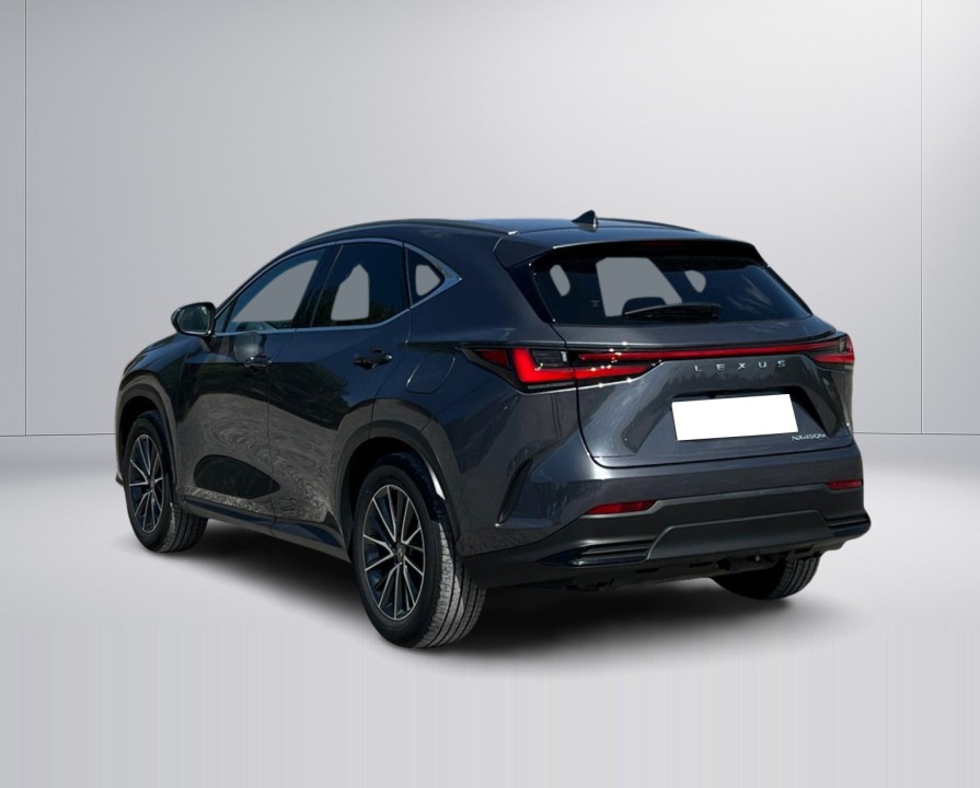 Lexus Seria NX 450h+ AWD Executive Line (5)