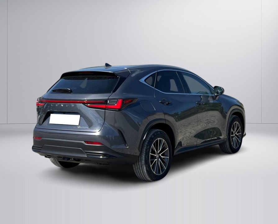Lexus Seria NX 450h+ AWD Executive Line (3)