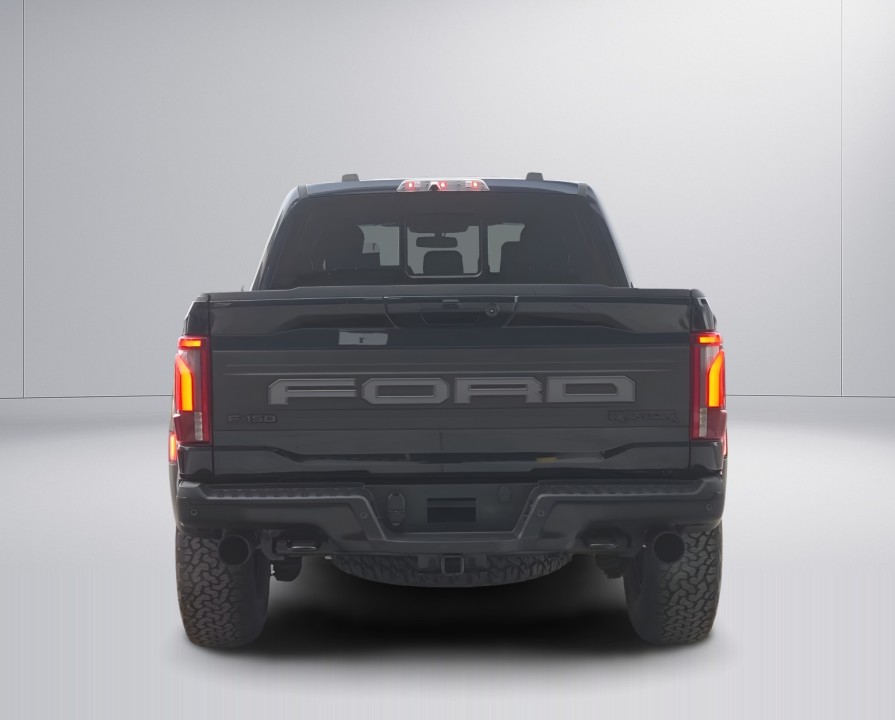 Ford F150 Raptor (3)