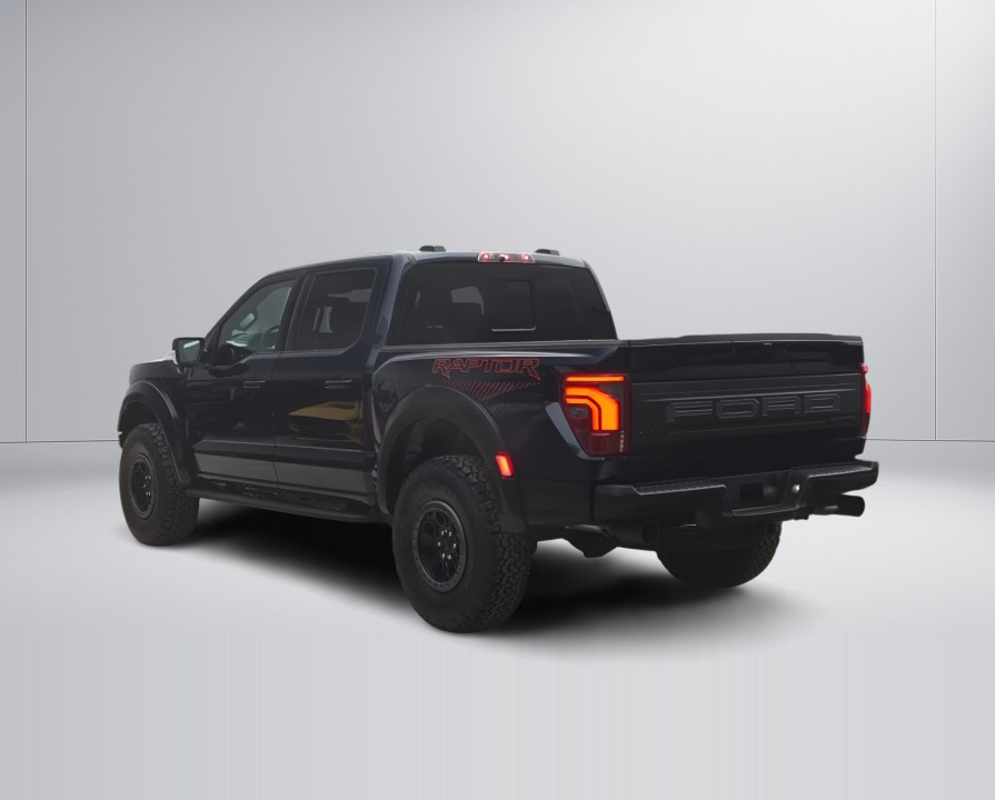 Ford F150 Raptor (4)