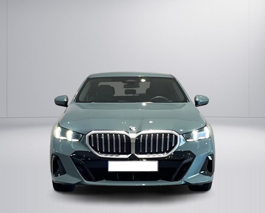 BMW Seria 5 530e xDrive M-Sport (2)