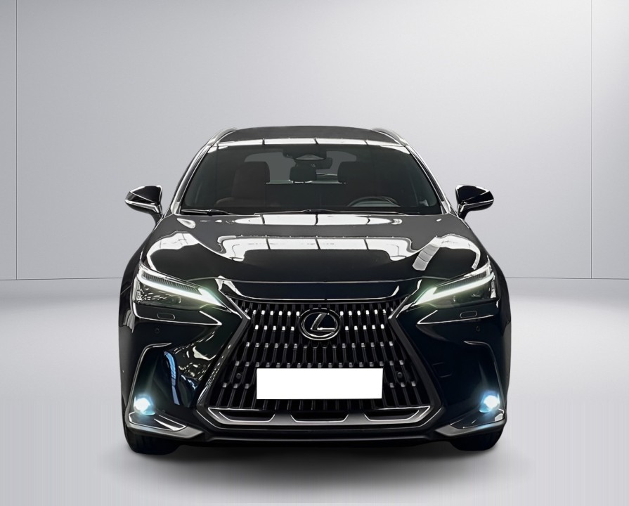 Lexus Seria NX 450h+ AWD Business Plus (2)